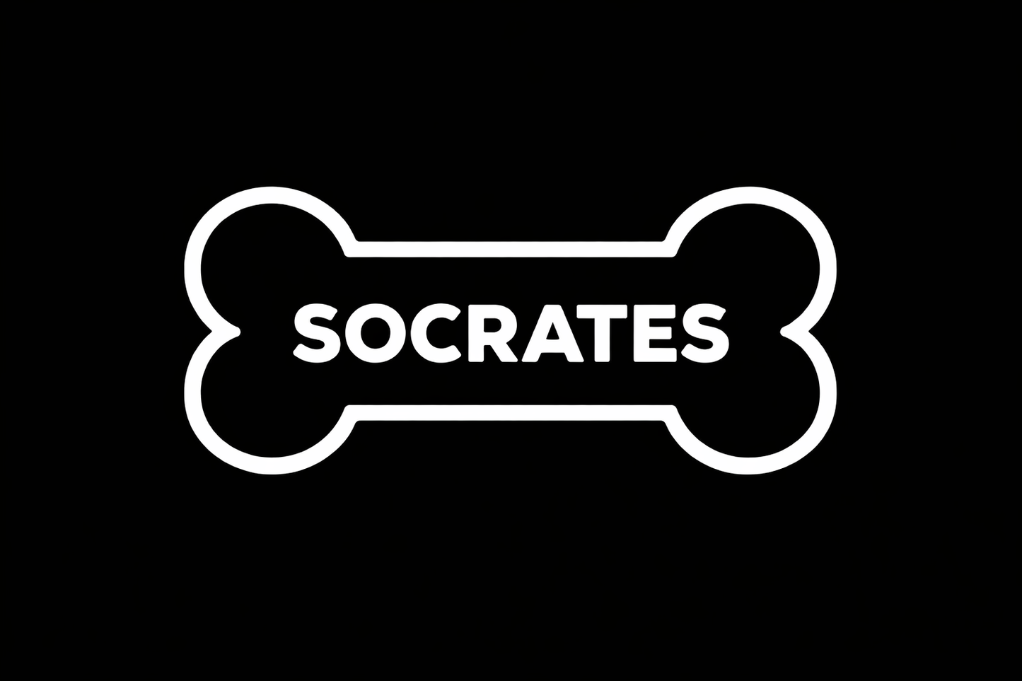 Personalized Dog Bone Name Decal | Custom Vinyl Dog Decal